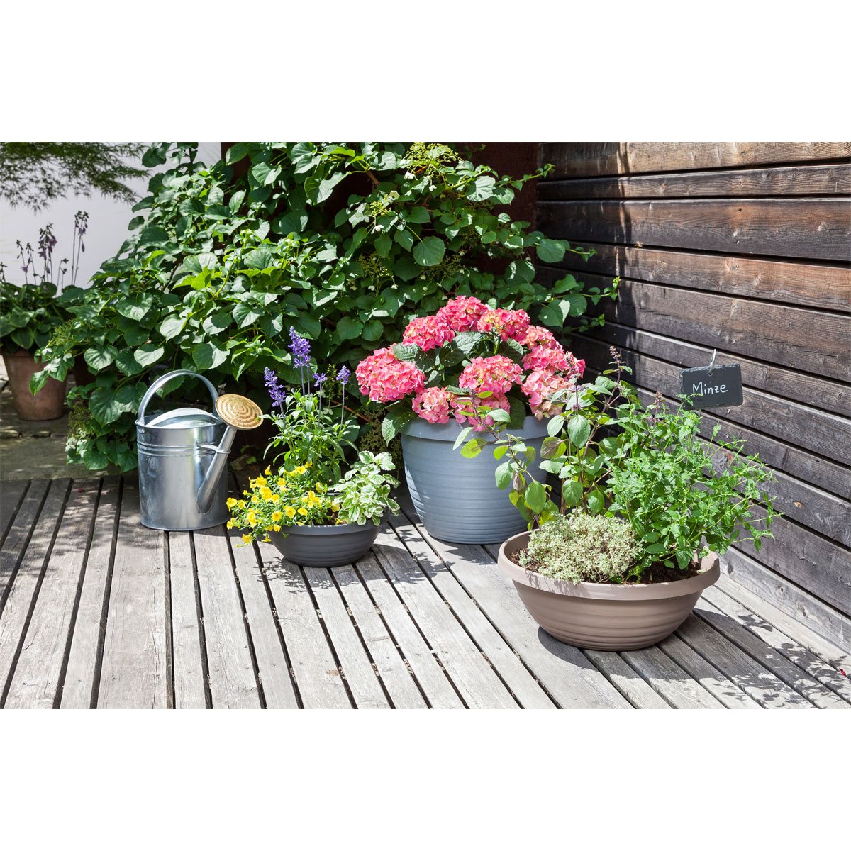 Scheurich Blumentopf Country Star 40 270 40 cm Granitgrau Bild 2