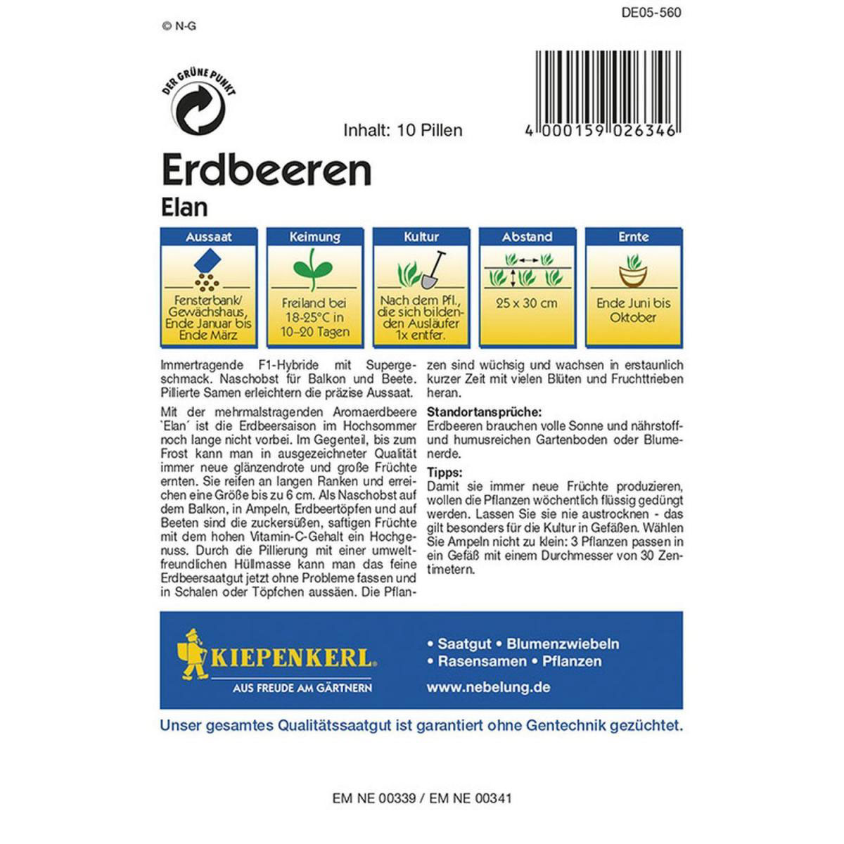 Kiepenkerl Erdbeeren Elan F1 Profi-Line Bild 2