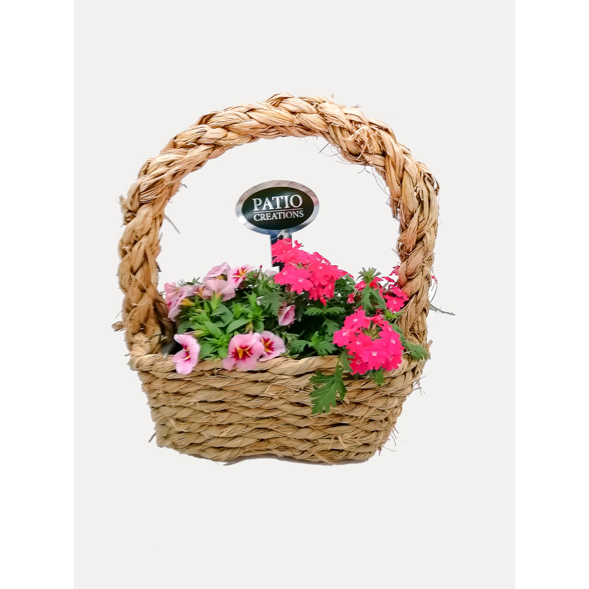 Plantiflor  Befplanztes Gefäß Seegras 22 x 13 cm