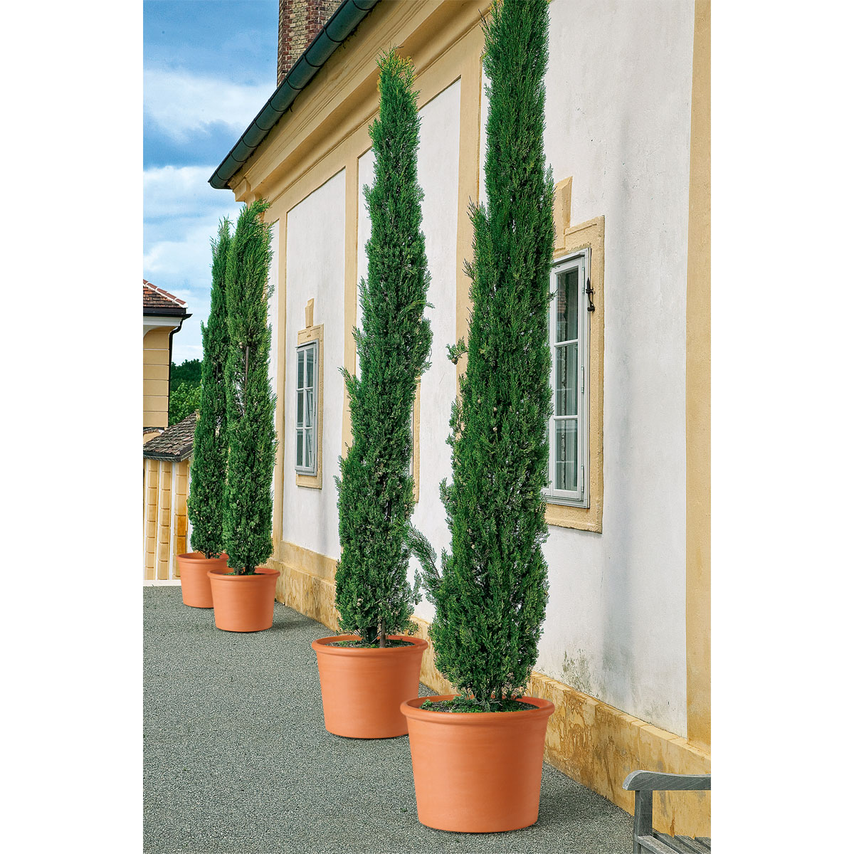 Übertopf Cilindro Bordato 14 cm Bild 2