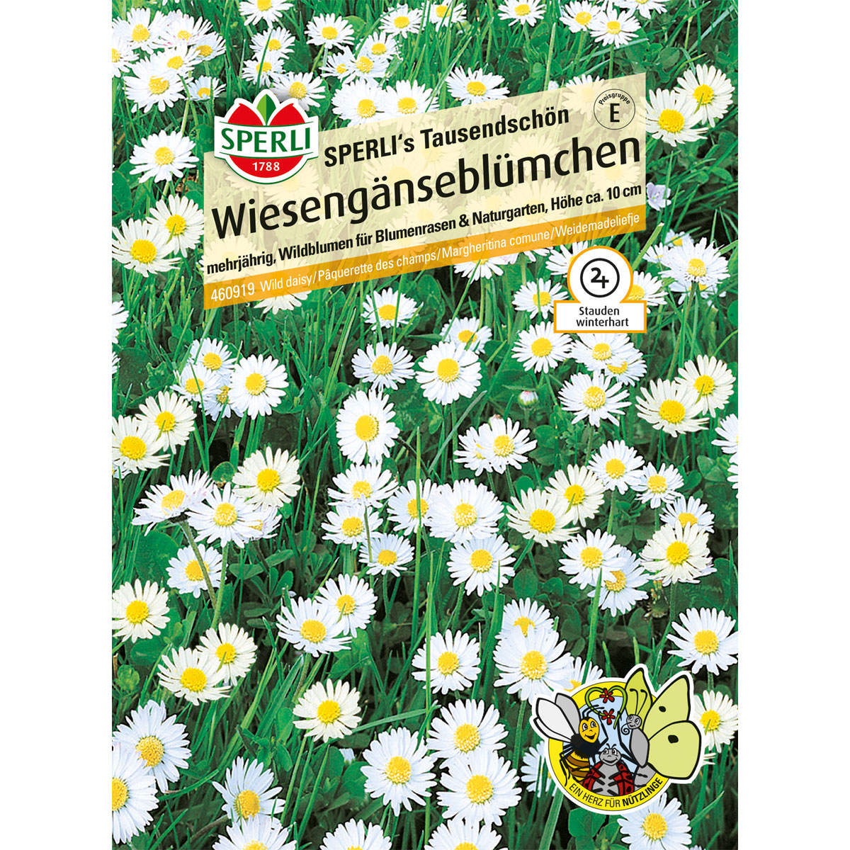 Sperli Gänseblümchen s Tausendschön Bild 1
