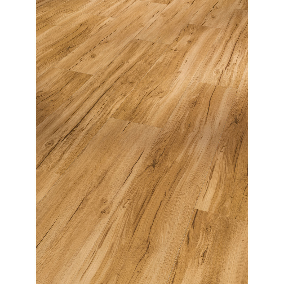 Parador Vinylboden Basic 30 Eiche Memory Natur Bild 2