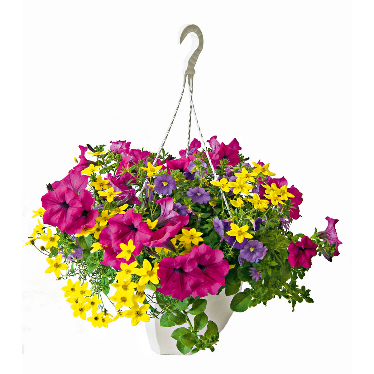 Ampel gemischt bepflanzt Topf Durchmesser 25 cm