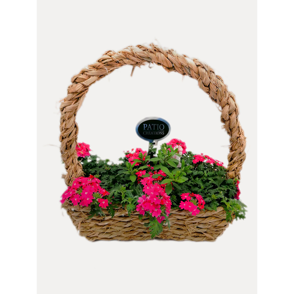 Plantiflor  Bepflanztes Gefäß Seegras 33 x 13 cm Plantiflor  Bepflanztes Gefäß Seegras 33 x 13 cm