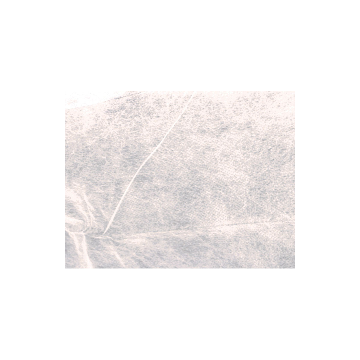 SIENA GARDEN  Öko-Anti-Unkrautvlies 50g weiß, 5x1,6m Bild 2