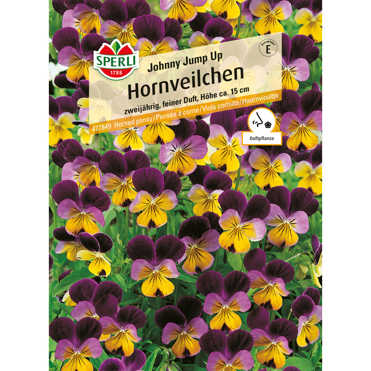 Sperli Hornveilchen Johnny Jump up Bild 1