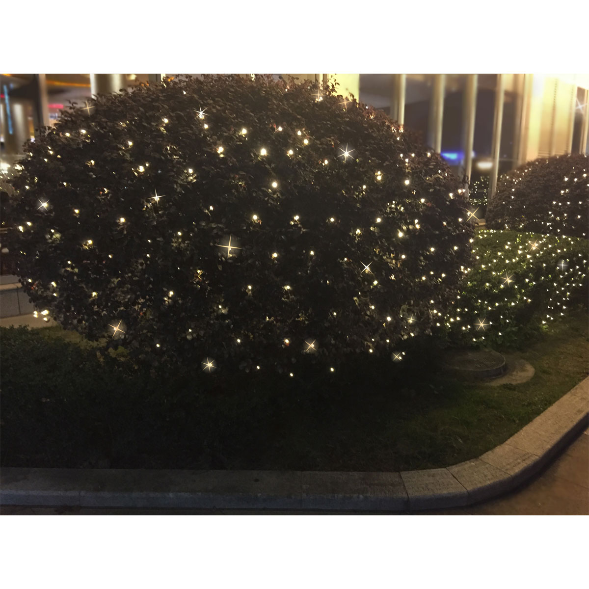 Batterielichternetz mit 160 warmweißen LED 2 x 2 m