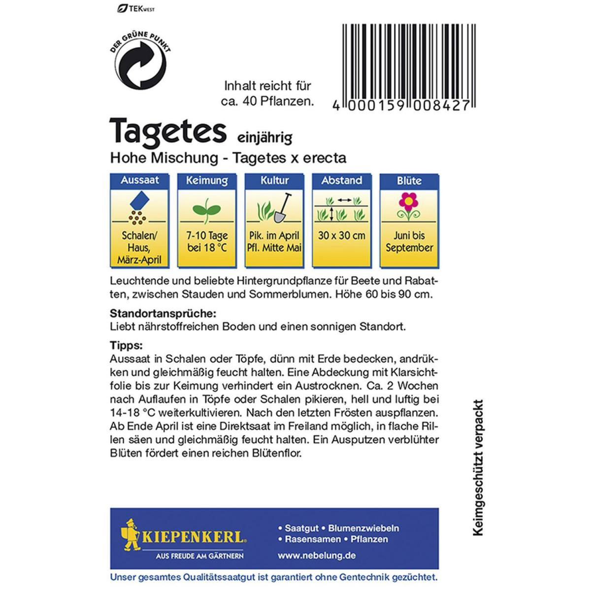 Kiepenkerl Tagetes hohe Mischung Bild 2
