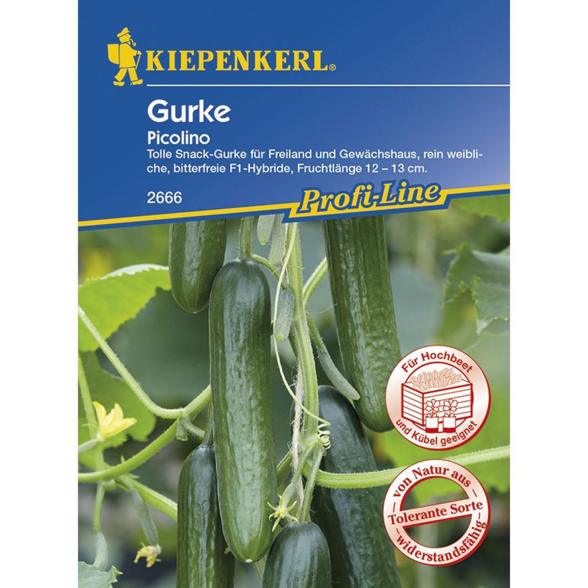 Kiepenkerl Mini-Snack-Salatgurke Picolino F1
