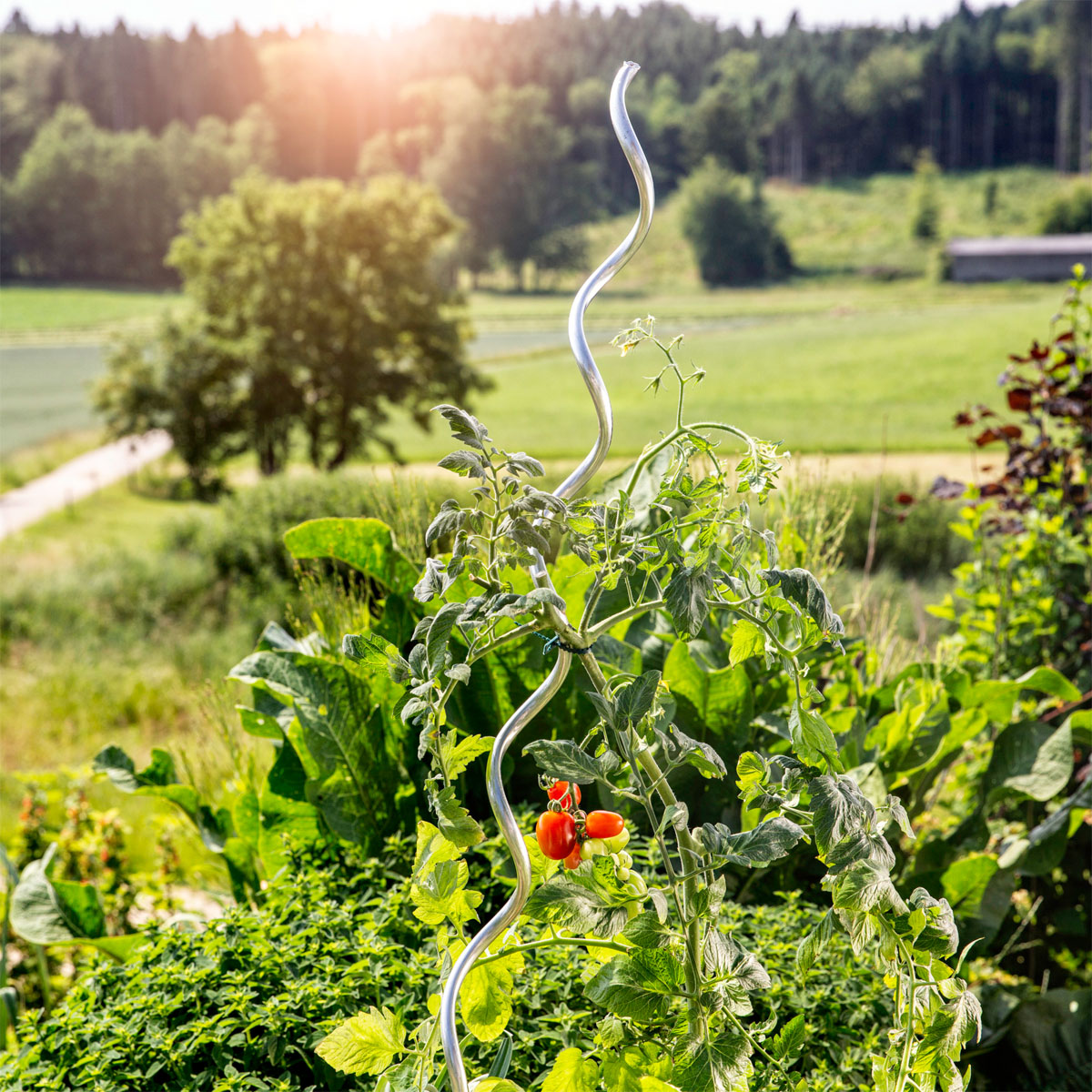 Windhager  Tomatenspiralstab 180 cm Bild 1