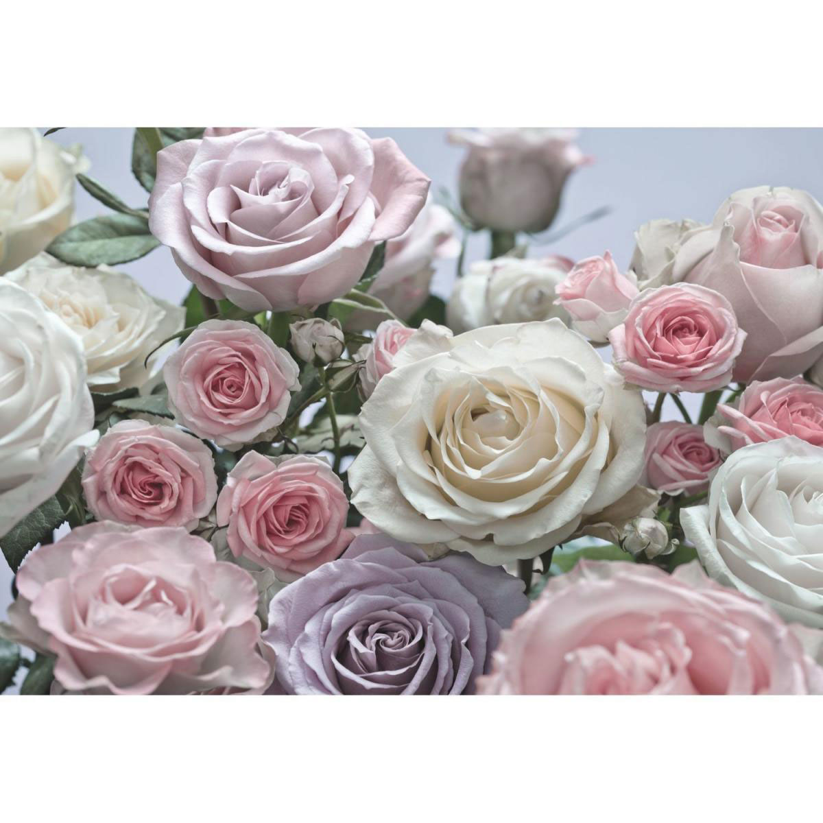Komar Papier-Fototapete Floraison 8-teilig 368 x 254 cm Bild 1