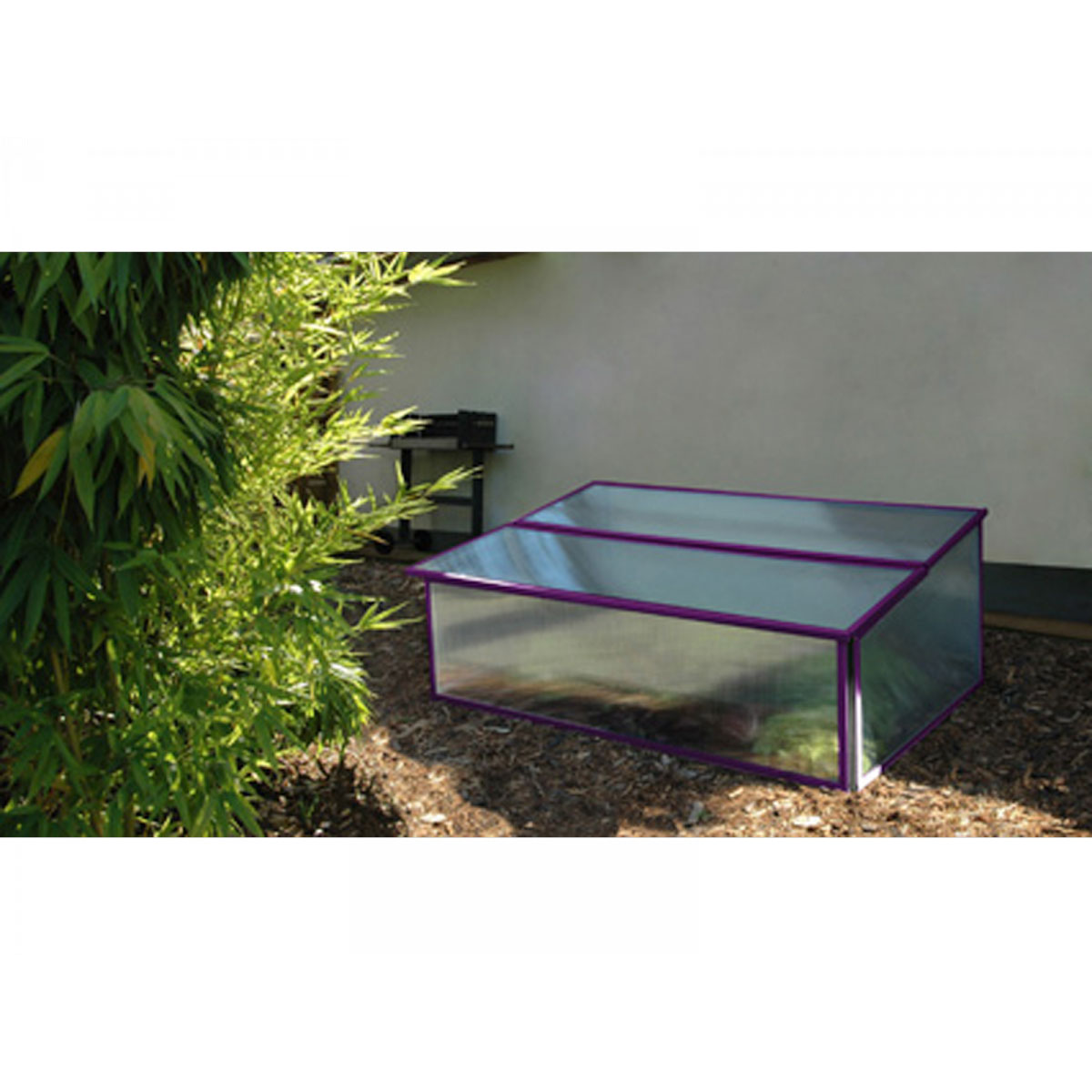 Vitavia Frühbeet Levana violett