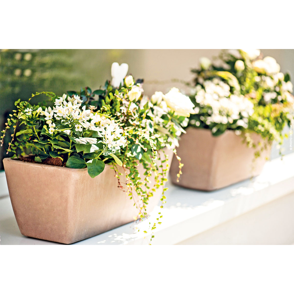 Blumenkasten Garda 32 cm