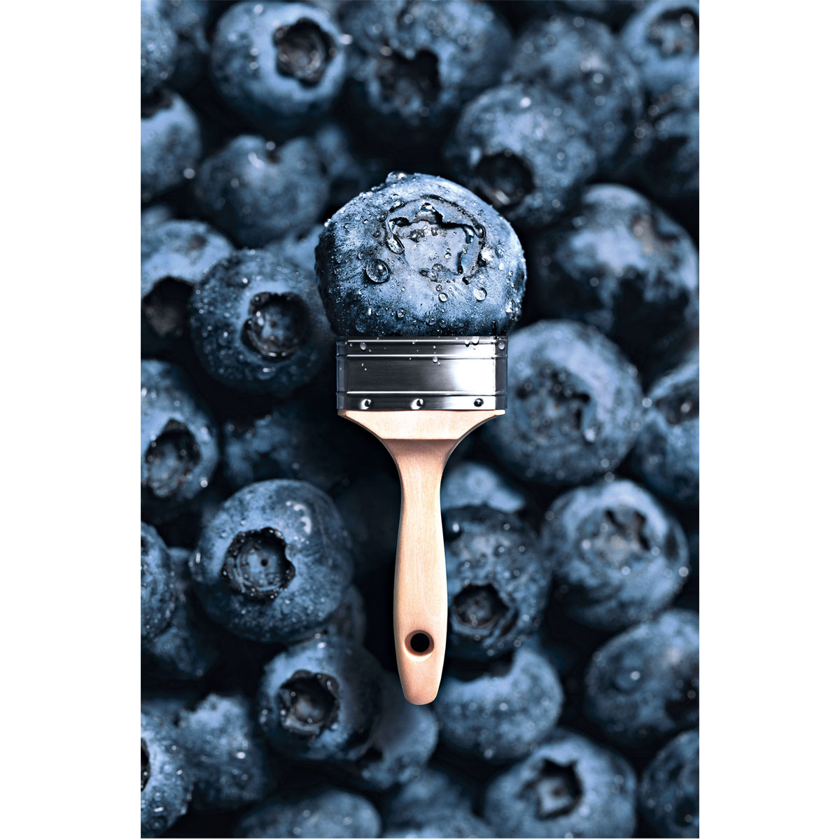 Schöner Wohnen Farbe Trendfarbe Blueberry 2,5 L Bild 3