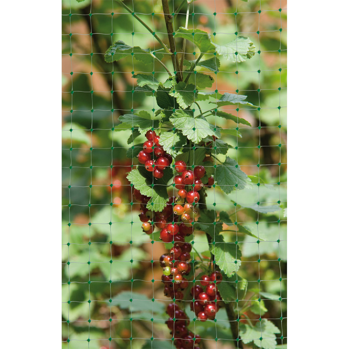 Vogelschutz-Netz Ortonet 5 x 2 m Bild 4