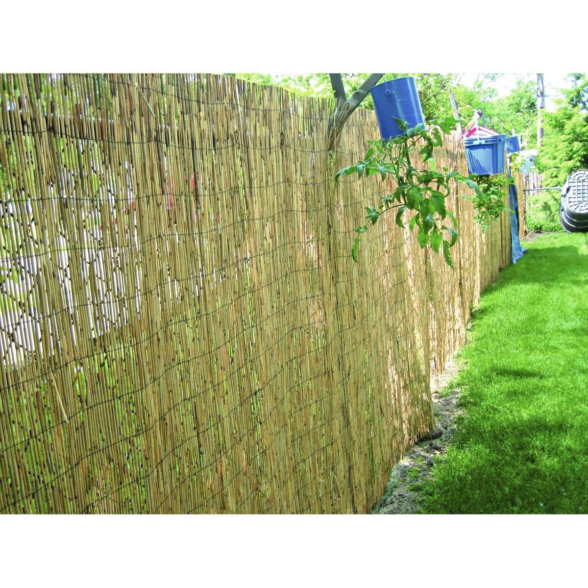 Hartmann  Schilfrohrmatte Malaga 140 x 600 cm Bild 2