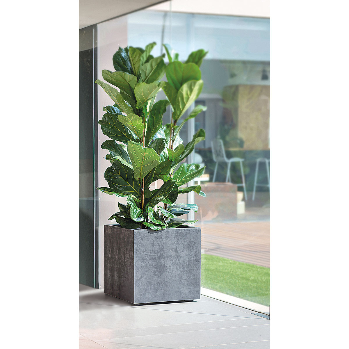 Pflanztopf Millennium anthrazit 39 x 39 x 39 cm Bild 4