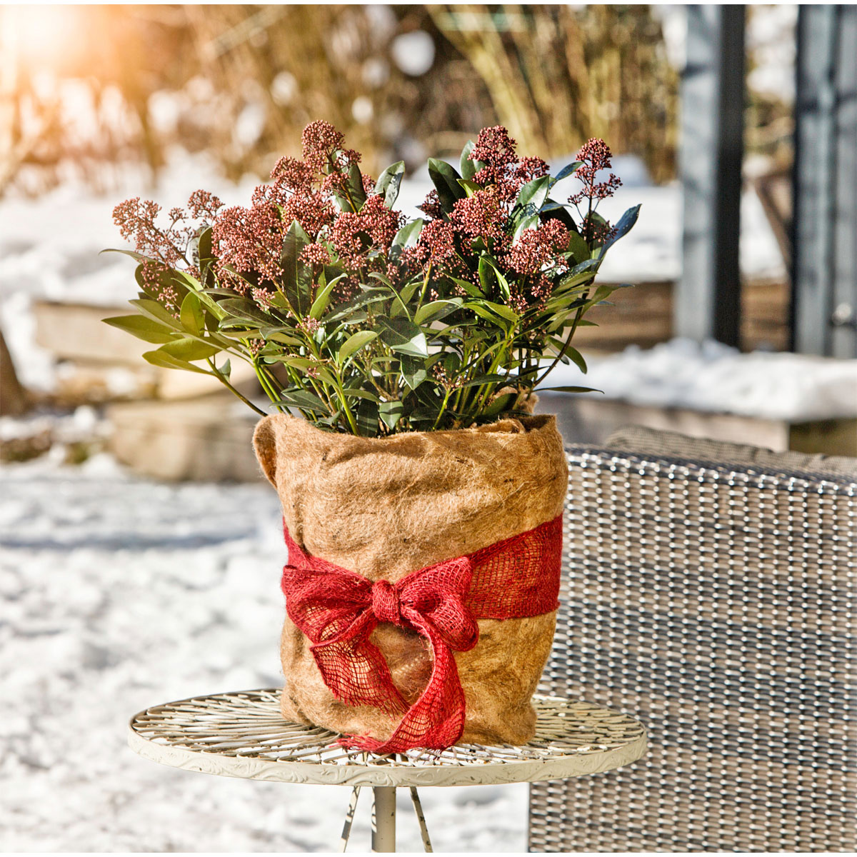 Winterschutz-Vliesmatte 150 x 38 cm Bild 4