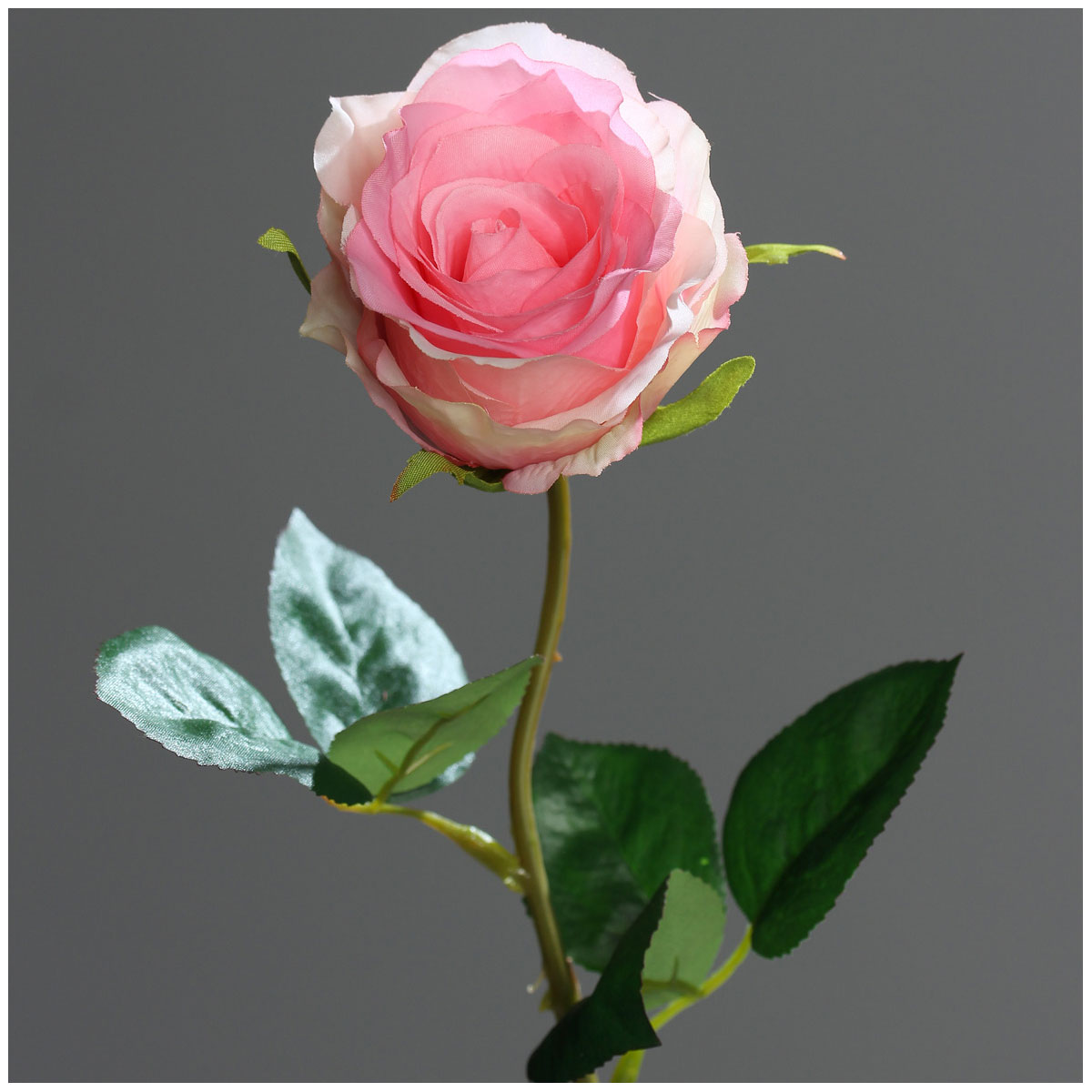 Rose halboffen 48 cm pink