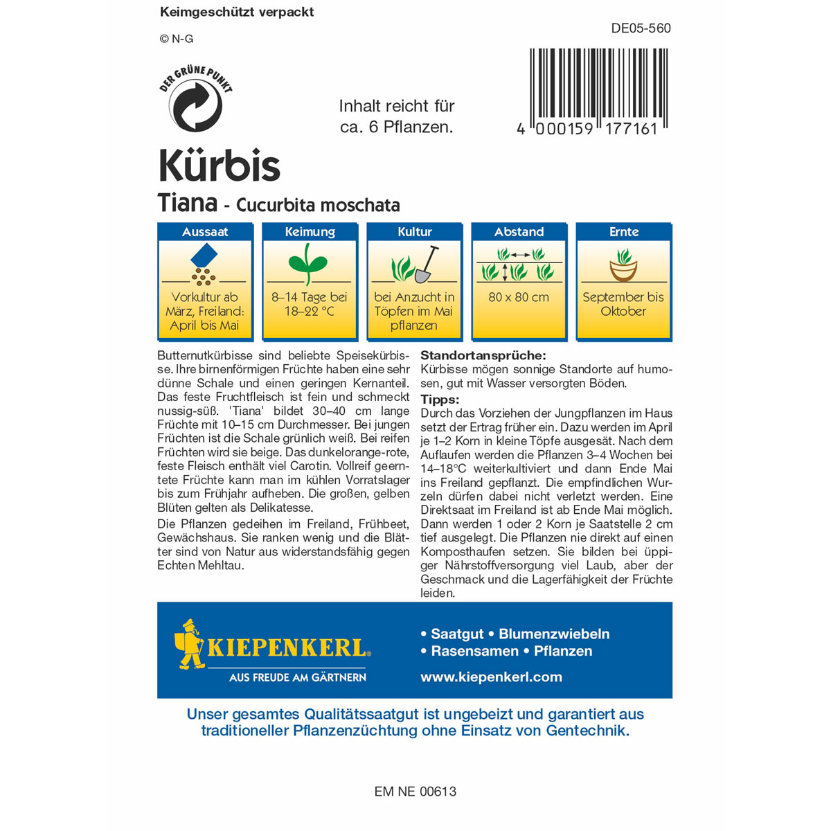 Kiepenkerl Kürbis Tiana Bild 2