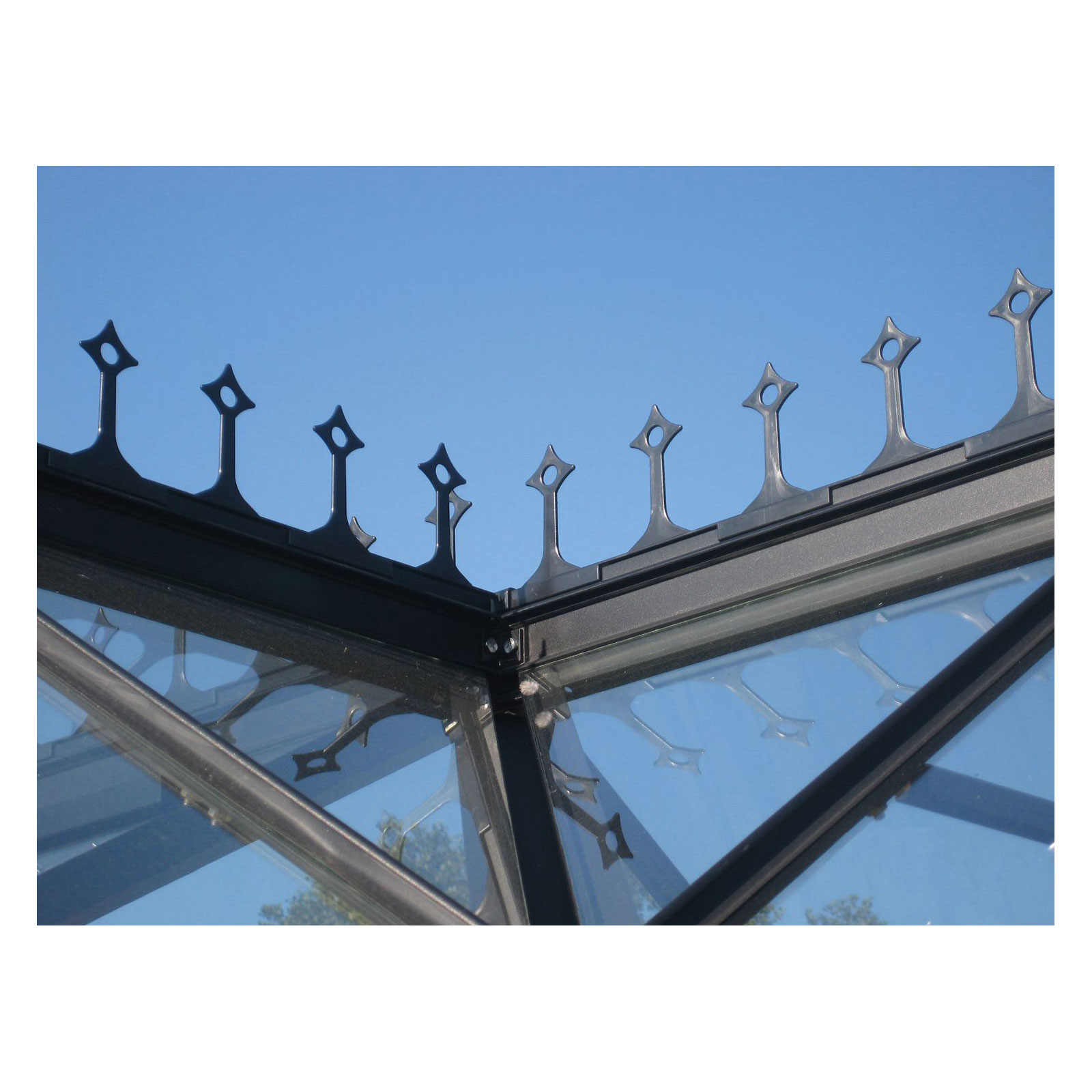 Vitavia Firstkrone für Sirius schwarz