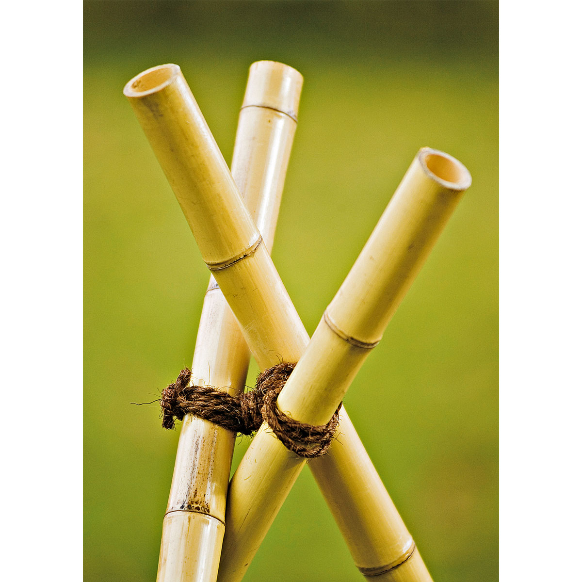 Windhager Kokosgarn, 15 m Bild 4