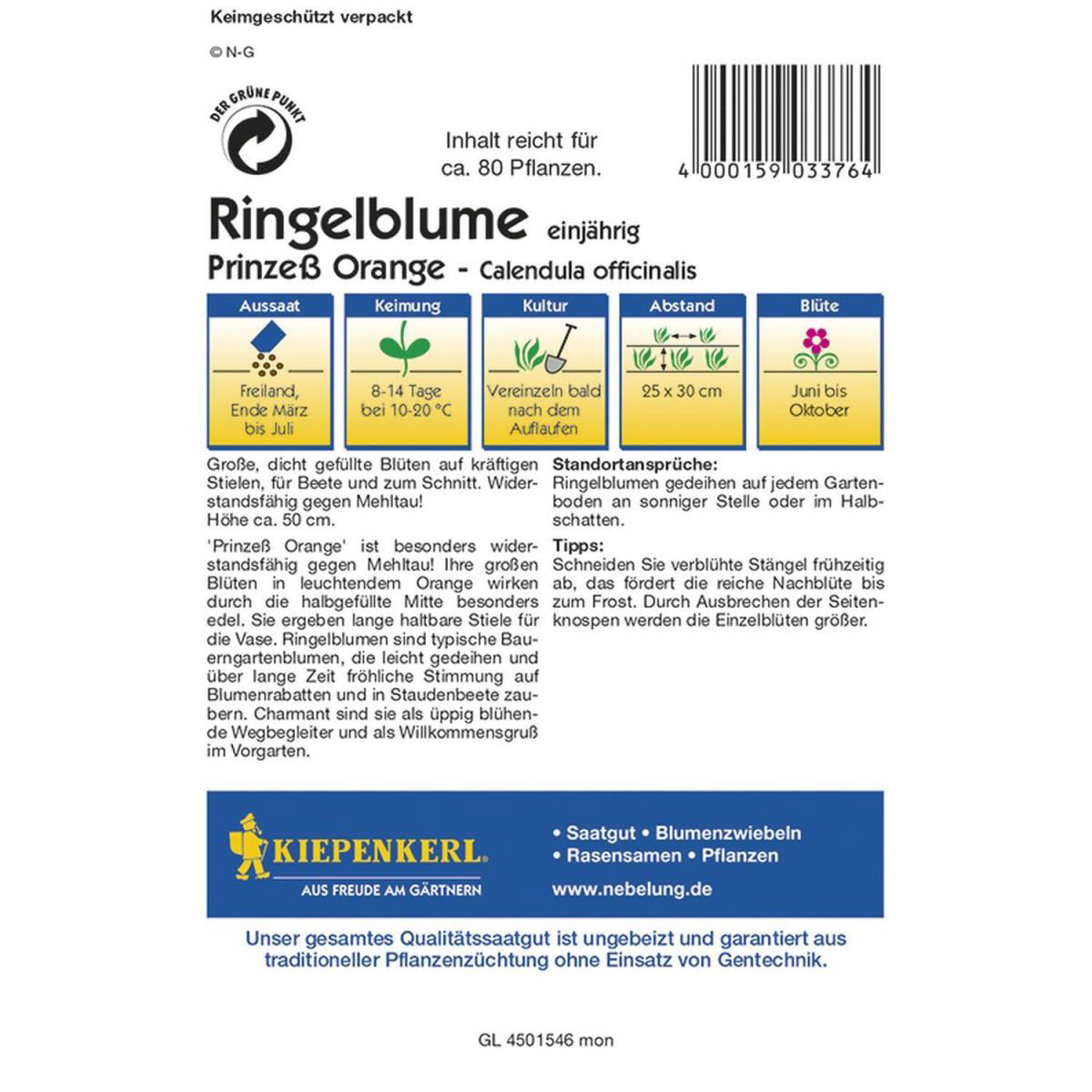 Kiepenkerl Ringelblume Prinzeß Orange Profi-Line Bild 2