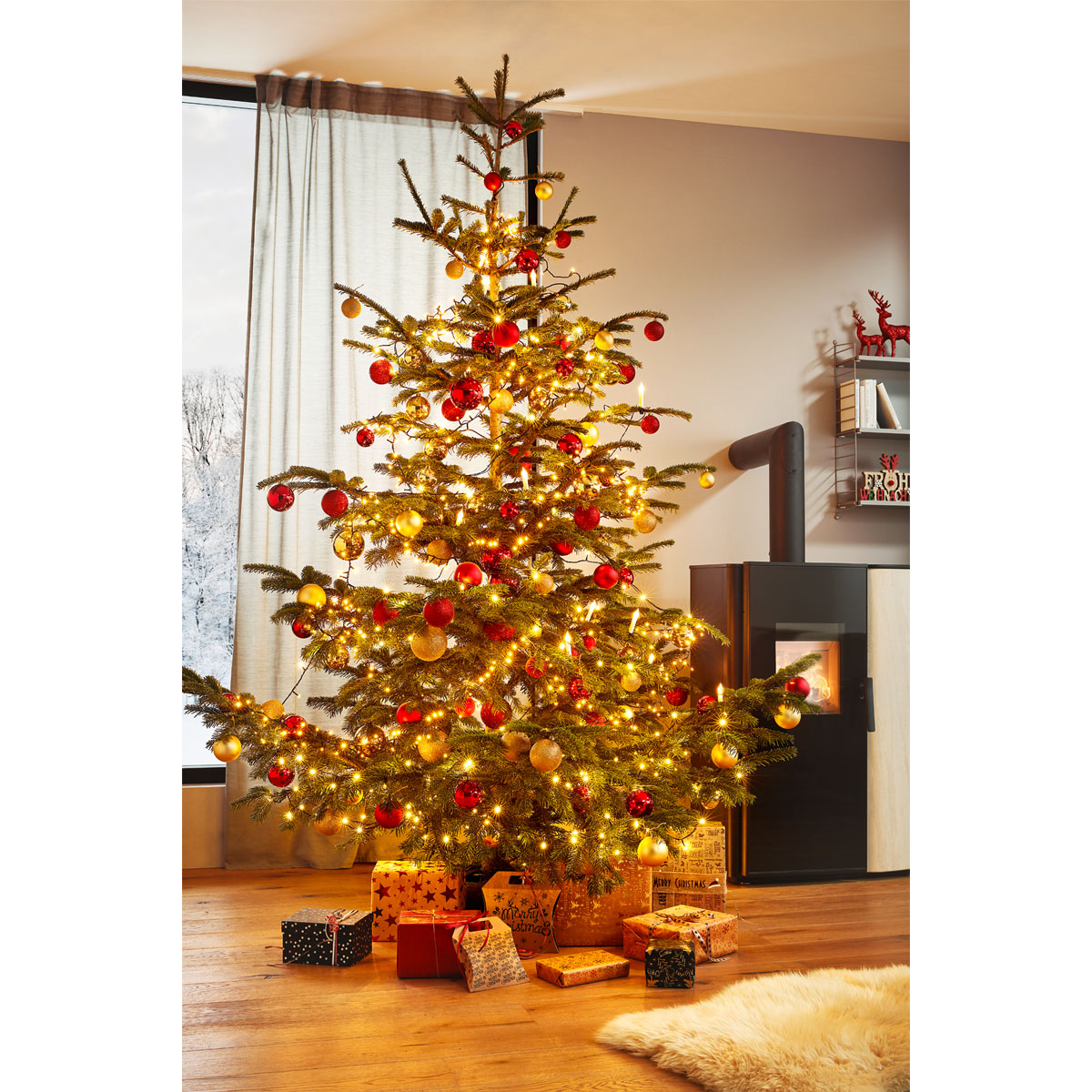 Plantiflor BIO Nordmanntanne 150-180 cm  Bild 3