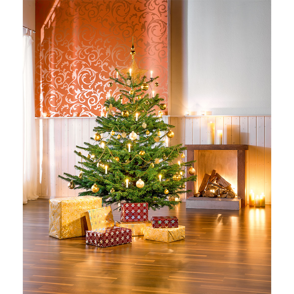 Plantiflor Nordmanntanne Silber-Qualität 130-150 cm Bild 4