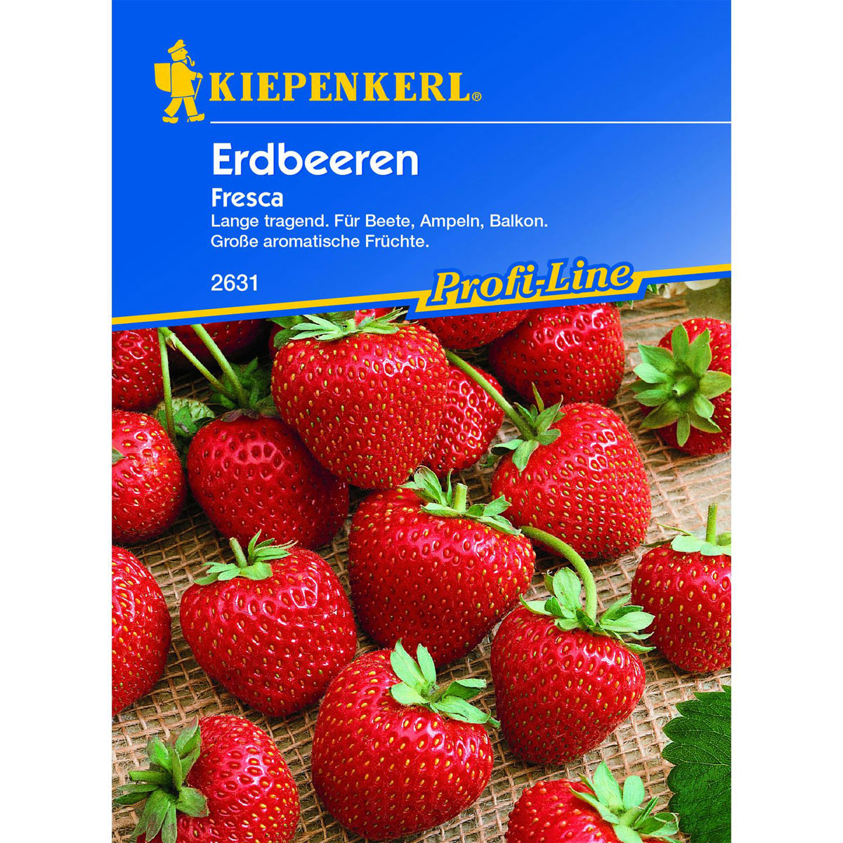 Kiepenkerl Erdbeeren Fresca Bild 1