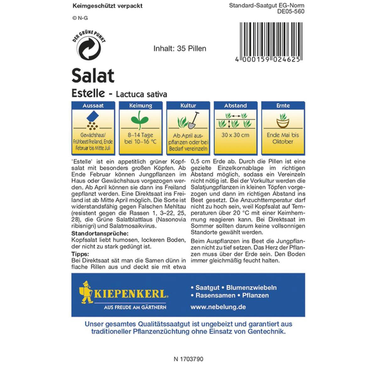 Kiepenkerl Kopfsalat Estelle - Pillensaat Profi-Line Bild 2