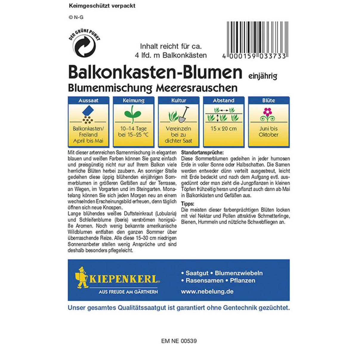 Kiepenkerl Balkonkastenblumen Meeresrauschen Profi-Line Bild 2