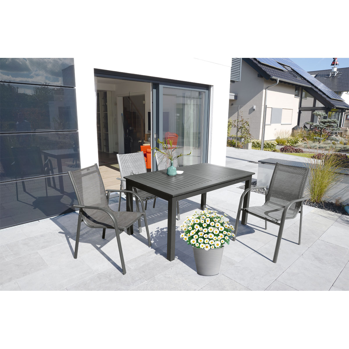 Plantiflor  Margeritenbusch weiß im Topf Durchmesser 18 cm Bild 6