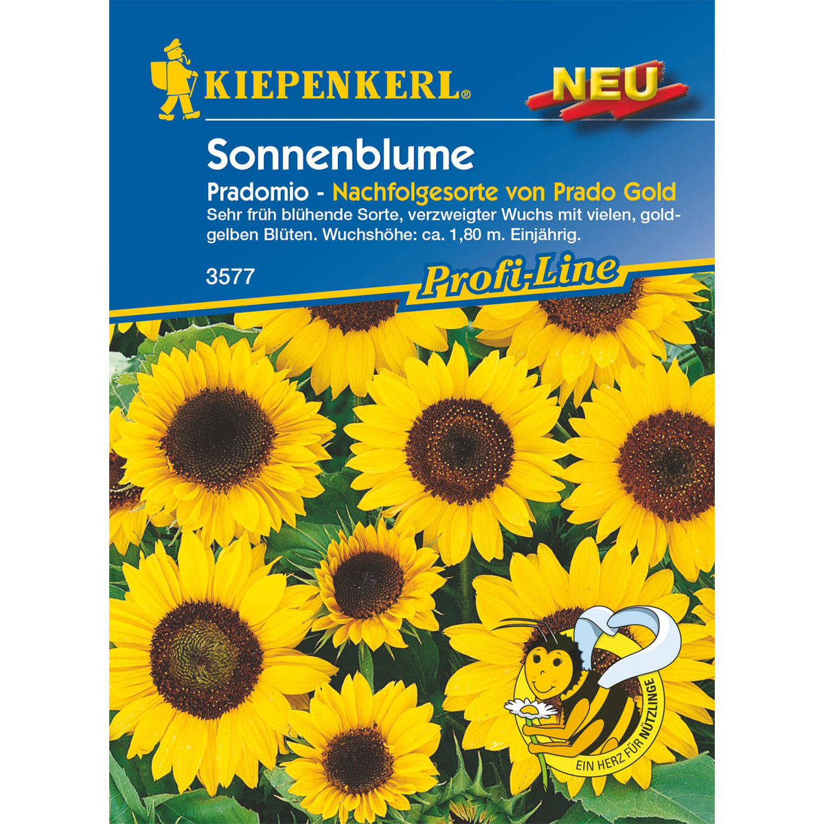 Kiepenkerl Sonnenblume Pradomio Bild 1