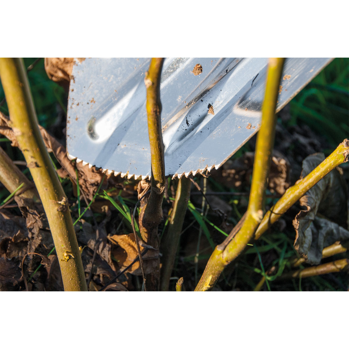 Edelstahlspaten Premium Bild 2