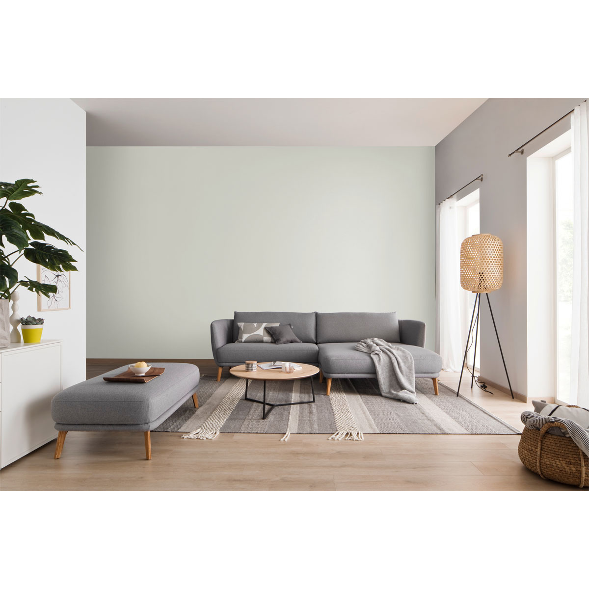 Schöner Wohnen Farbe  Wandfarbe Glimmerfarbe silvershine grey 2,5 Liter Bild 2