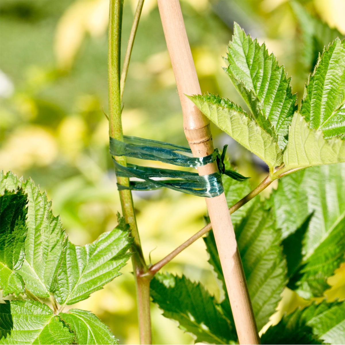 Windhager  Kunstbast 400 m