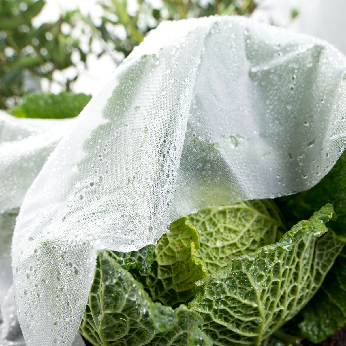 Windhager  Frühbeet-Folie Supergrow 5x1,35 m Bild 3