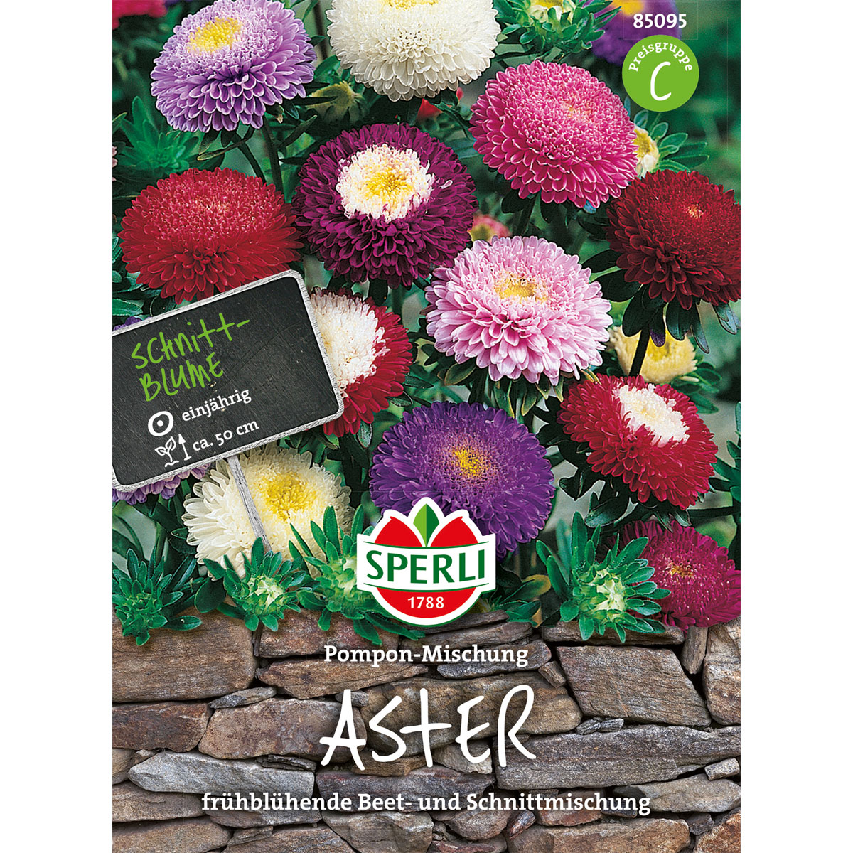 Sperli Astern Pompon Mischung Bild 1