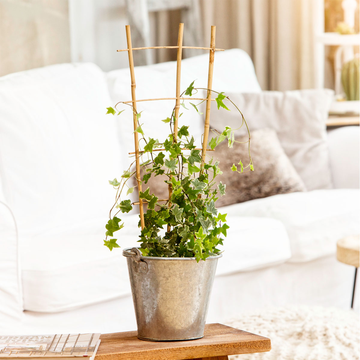 Windhager  Bambus-Rankgitter 35 cm Bild 1