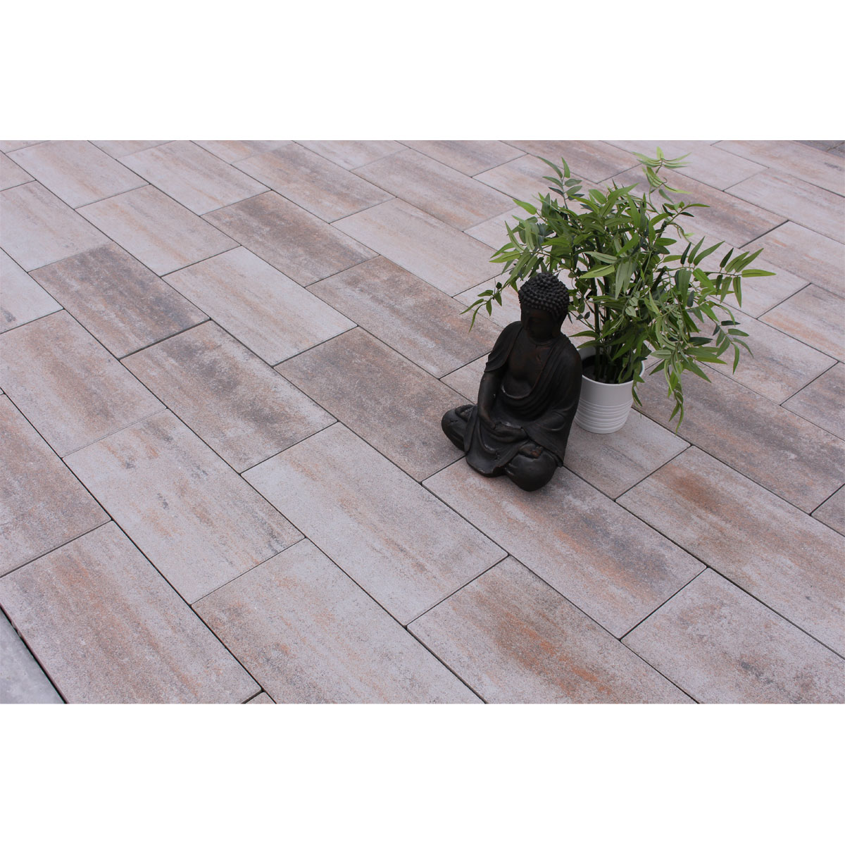 Platte Toscana muschelkalk 50 x 25 x 4