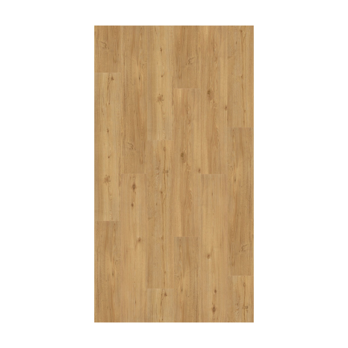 Parador Vinylboden Basic 5.3 Eiche Natur gebürstete Struktur 22,5 x 120,9 cm Bild 2