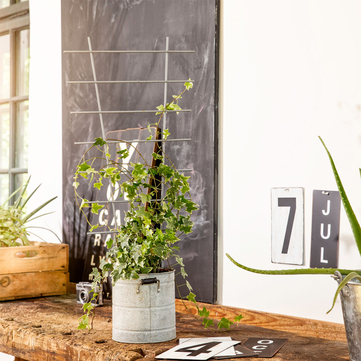 Windhager  Blumenstütze 44x24 cm metall