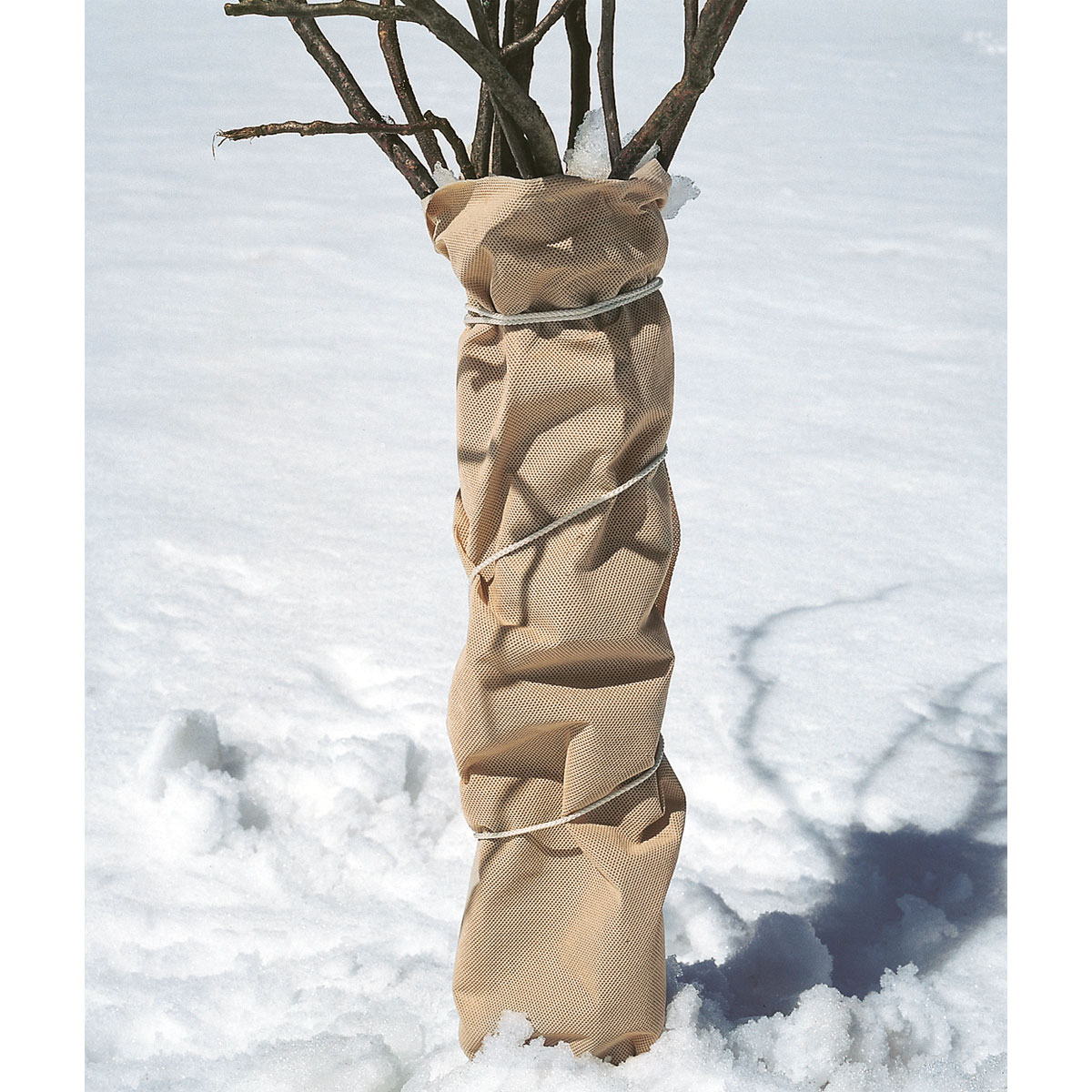 Wintervlies Super Protect 5 x 2 m Bild 4