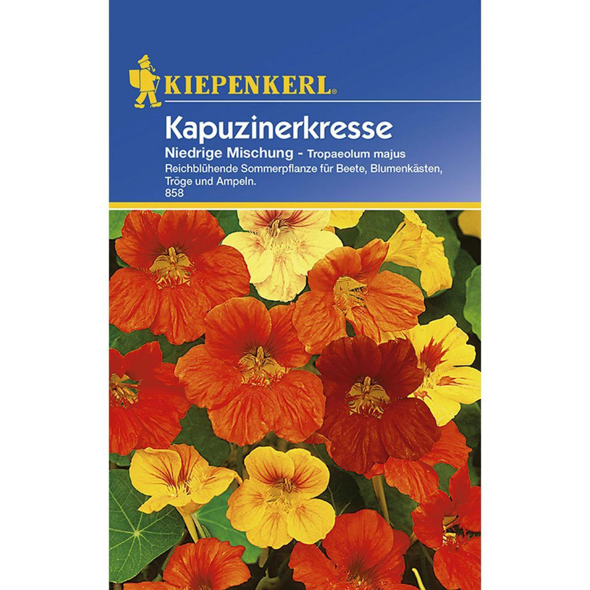 Kiepenkerl Kapuzinerkresse niedrige Mischung Bild 1