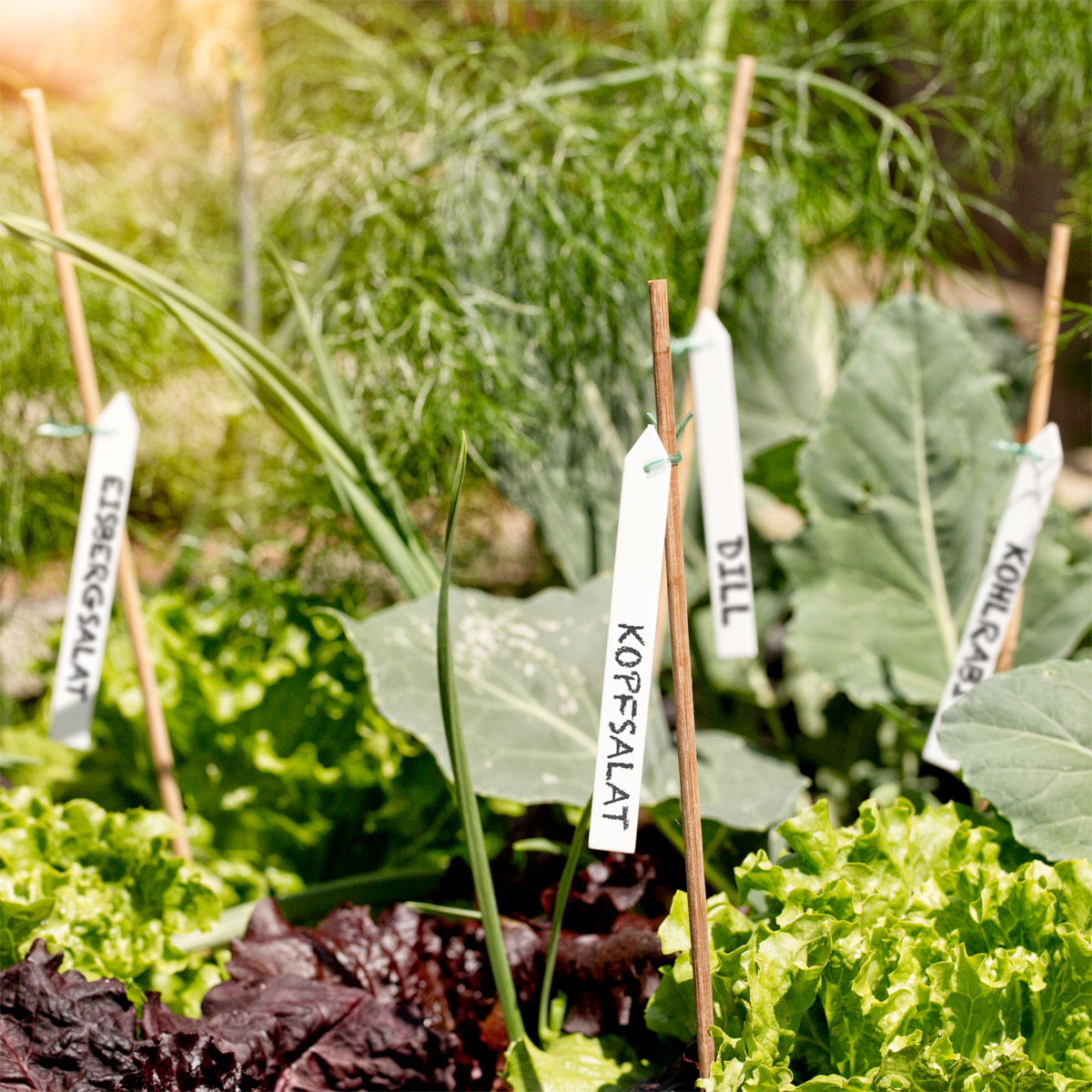 Windhager  Binde-Etiketten 25 Stück