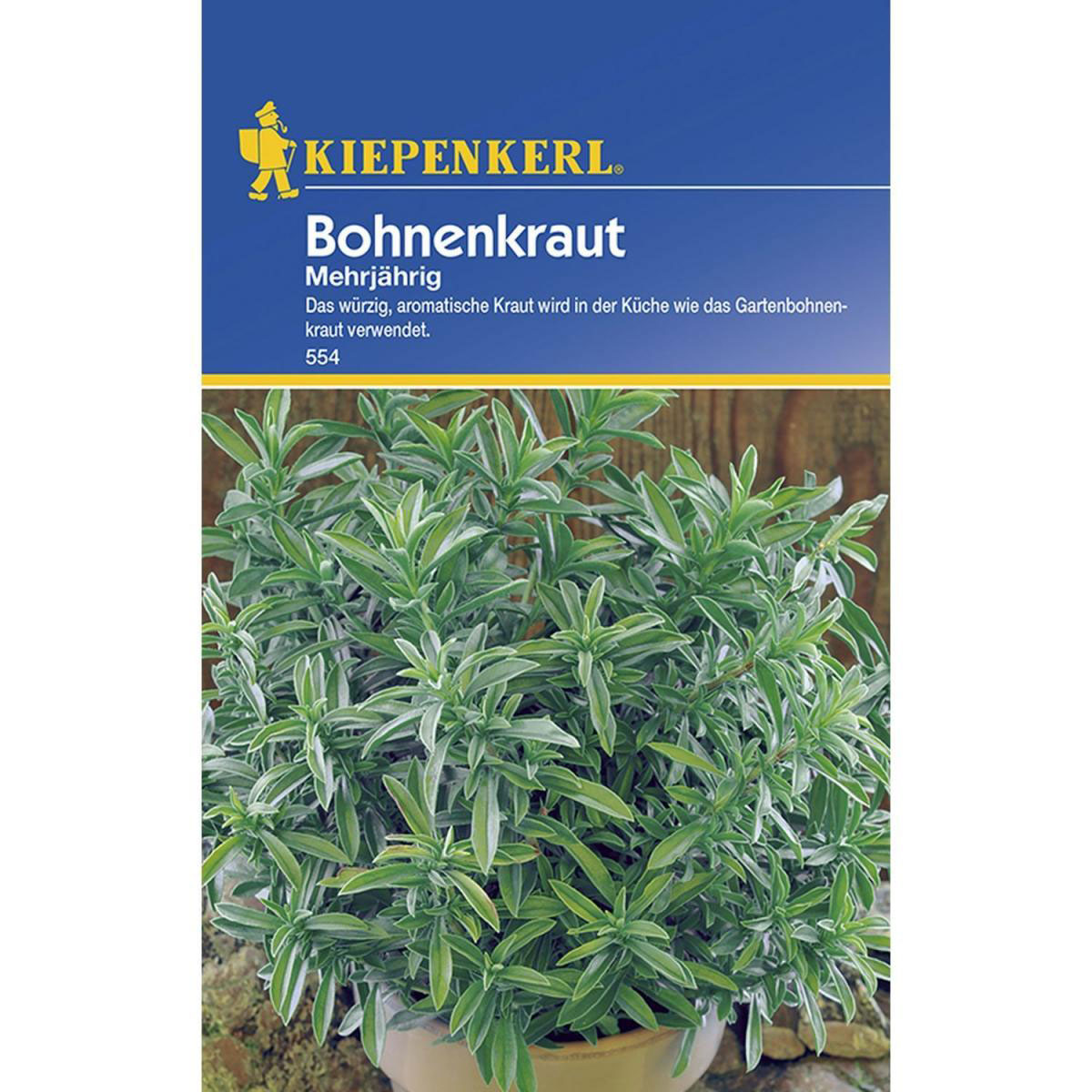 Kiepenkerl Bohnenkraut mehrjährig Bild 1