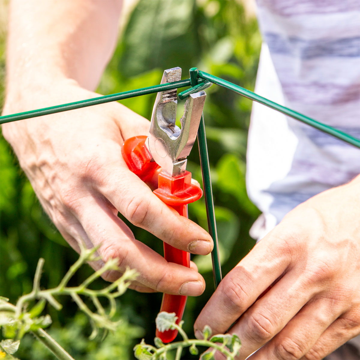 Windhager  Tomaten-Turm 35x35x118 cm 4-teilig Bild 2