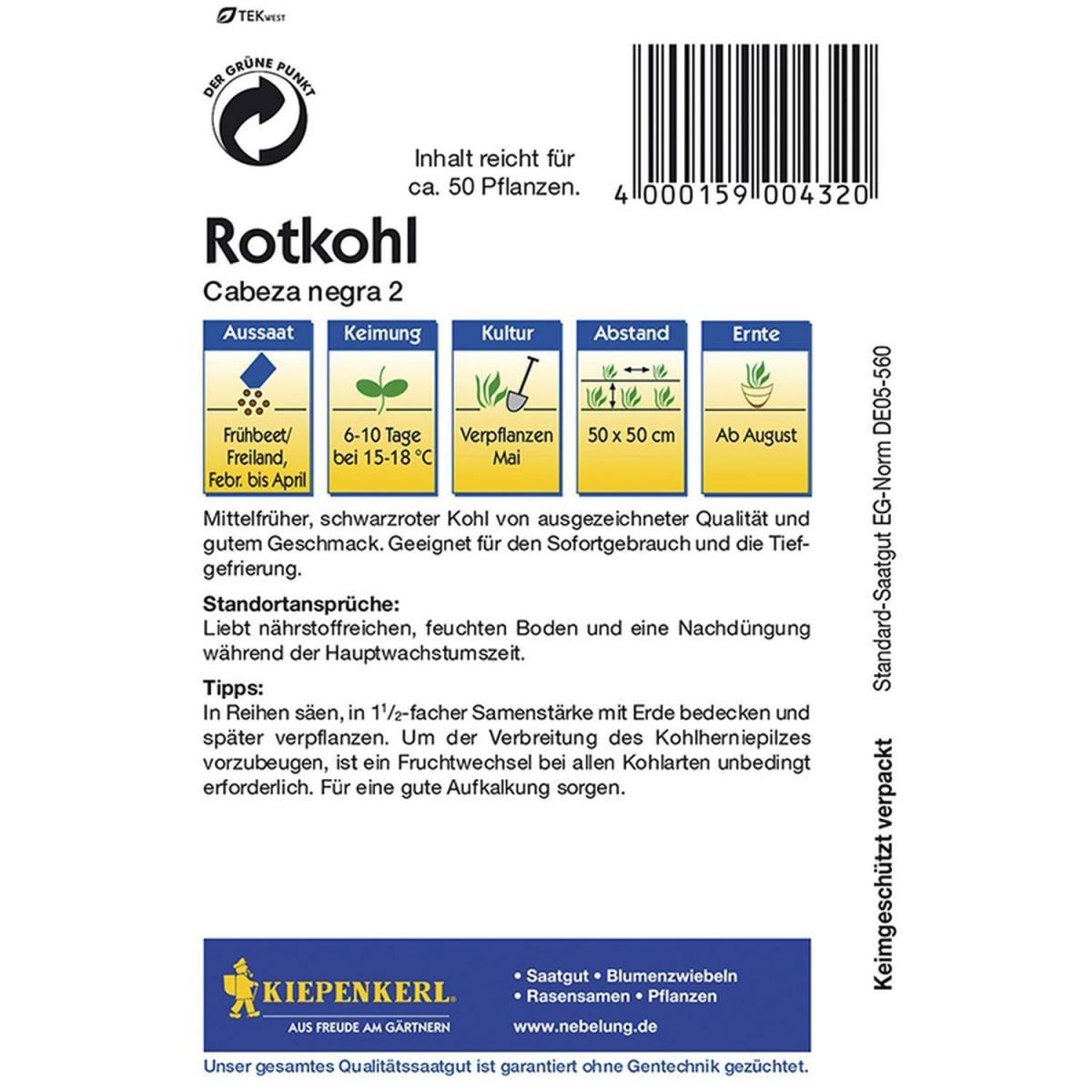 Kiepenkerl Rotkohl Cabeza negra 2 Schwarzkopf Bild 2