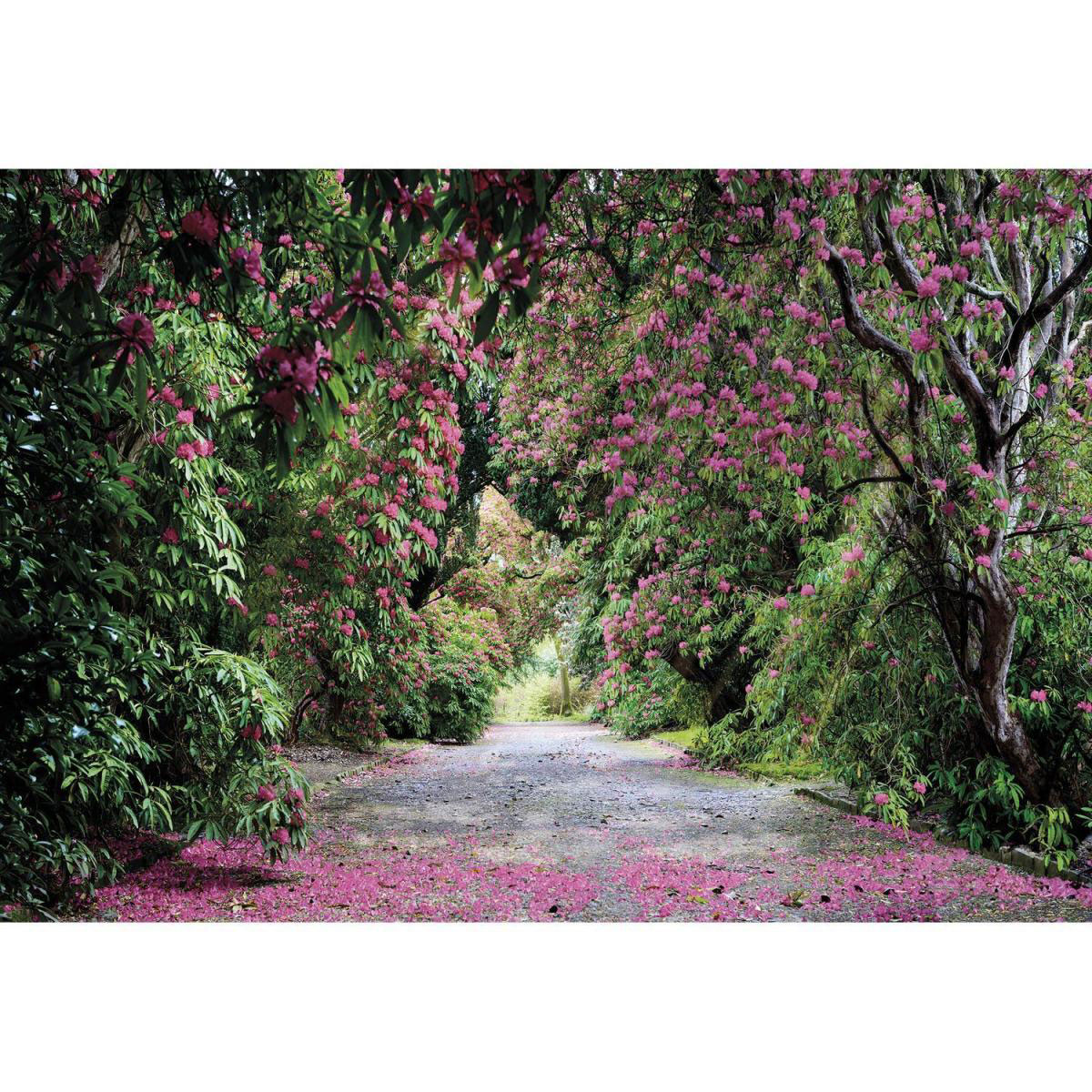 Komar Papier-Fototapete Wicklow Park 8-teilig 368 x 254 cm